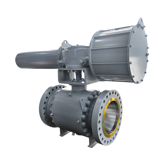 pneumatic actuated valve 10