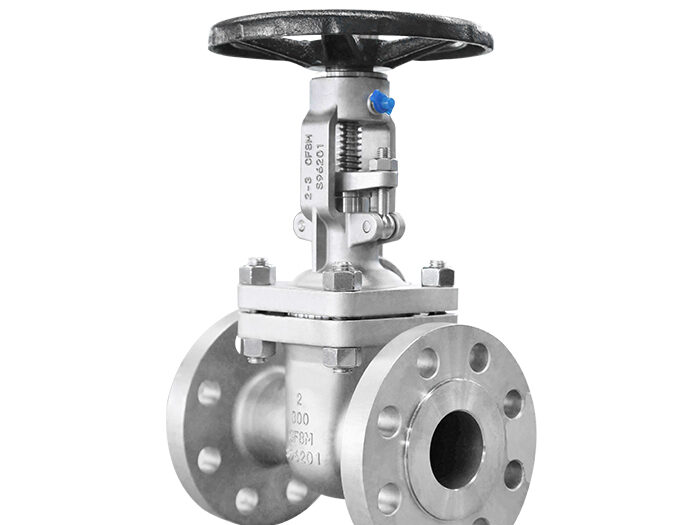 stainless steel gate valve 02