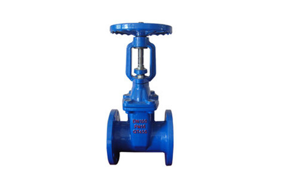 Rising Stem Gate Valve