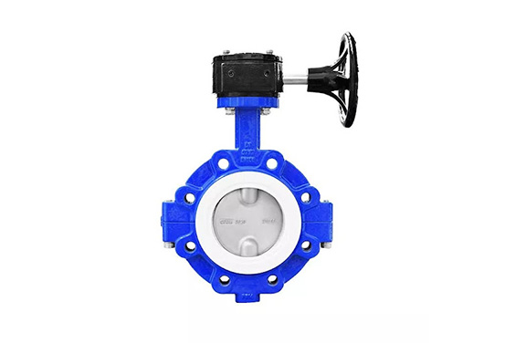 Concentric Butterfly Valve 1