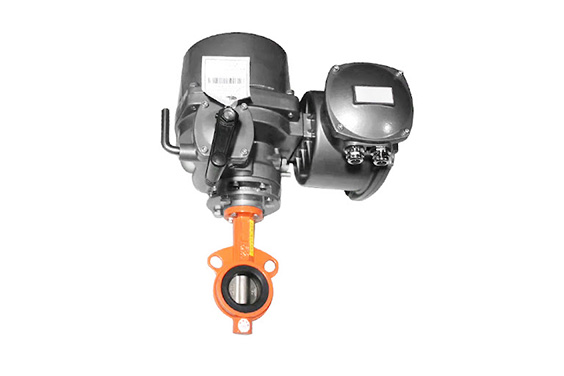 Electric Actuated Valve