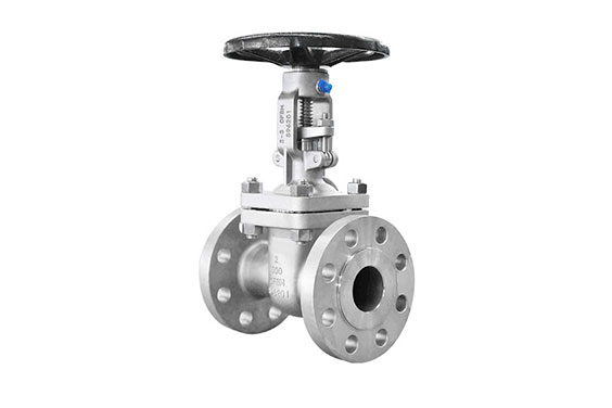 Dombor Gate Valve 2