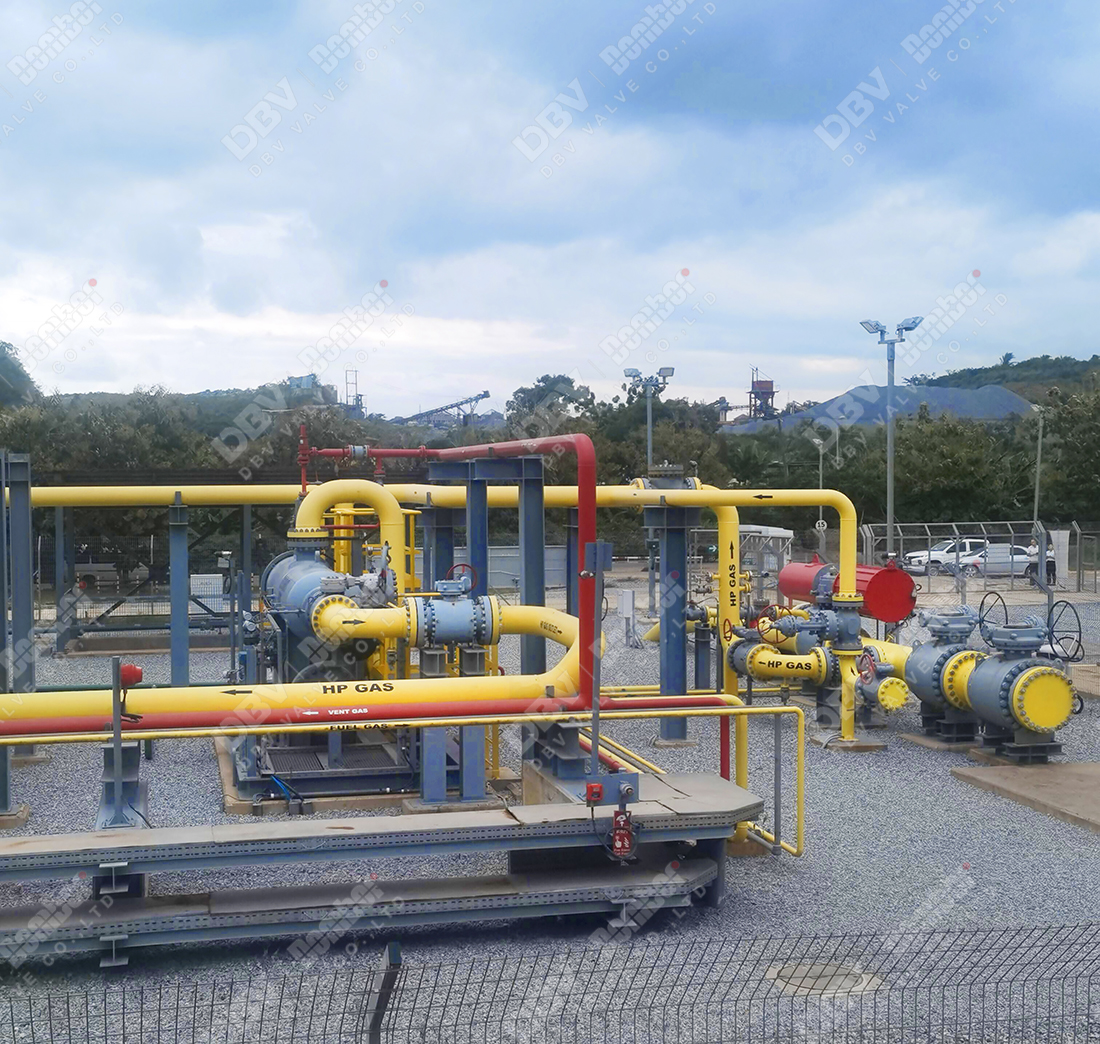 DBV CEO and DBV officials visited Ghana 4