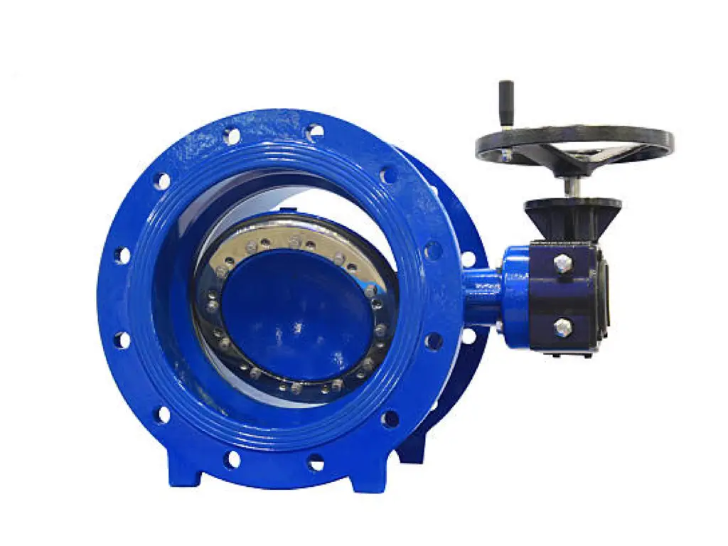 Double Eccentric Butterfly Valve 1